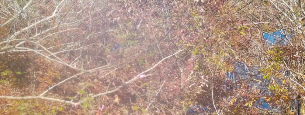 Nov 20 2025 12:00:32, #01