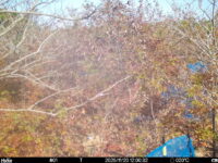 Nov 20 2025 12:00:32, #01