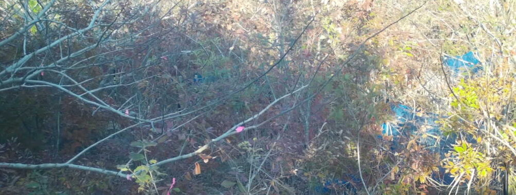 Nov 20 2025 15:00:32, #01