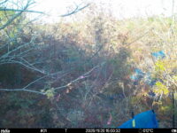 Nov 20 2025 15:00:32, #01