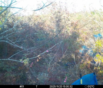 Nov 20 2025 15:00:32, #01