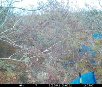 Nov 21 2025  9:00:32, #01