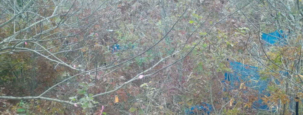 Nov 21 2025 12:00:32, #01