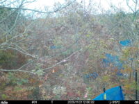 Nov 21 2025 12:00:32, #01