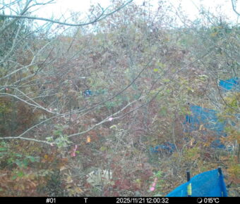 Nov 21 2025 12:00:32, #01