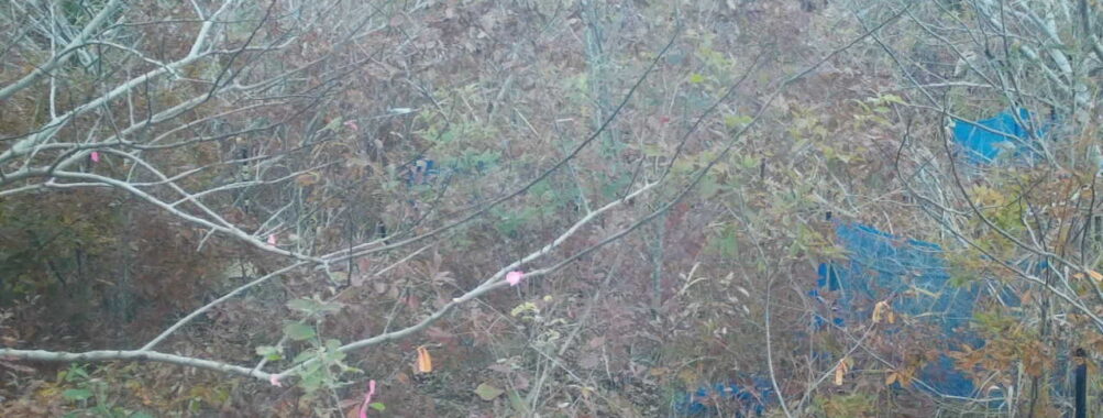 Nov 21 2025 15:00:31, #01