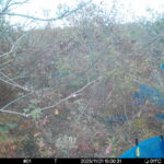 Nov 21 2025 15:00:31, #01