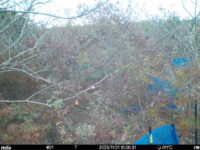 Nov 21 2025 15:00:31, #01