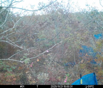 Nov 21 2025 15:00:31, #01