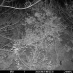 Nov 21 2025 18:00:30, #01