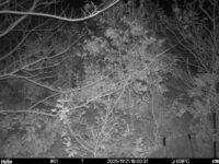 Nov 21 2025 18:00:30, #01