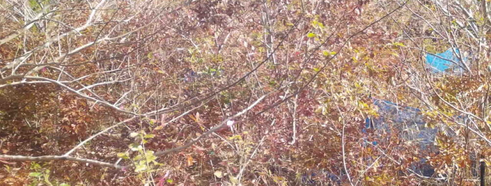 Nov 22 2025  9:00:31, #01