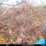 Nov 22 2025  9:00:31, #01