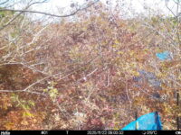 Nov 22 2025  9:00:31, #01