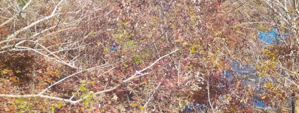 Nov 22 2025 12:00:32, #01