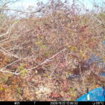 Nov 22 2025 12:00:32, #01