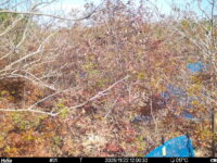 Nov 22 2025 12:00:32, #01