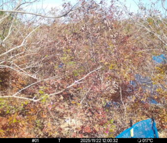 Nov 22 2025 12:00:32, #01