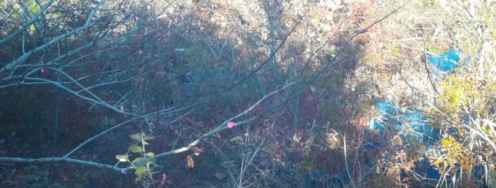 Nov 22 2025 15:00:31, #01