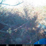 Nov 22 2025 15:00:31, #01