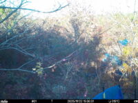 Nov 22 2025 15:00:31, #01