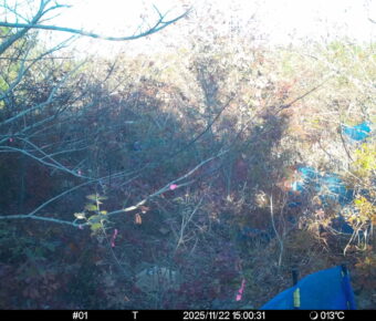 Nov 22 2025 15:00:31, #01