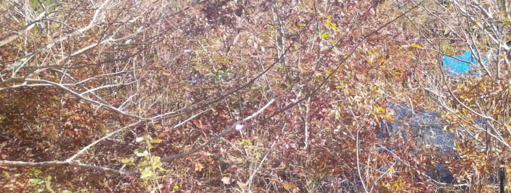 Nov 23 2025  9:00:32, #01