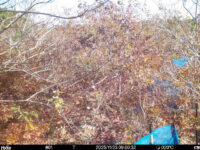 Nov 23 2025  9:00:32, #01