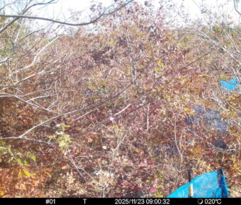 Nov 23 2025  9:00:32, #01