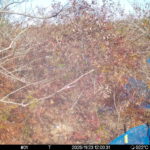 Nov 23 2025 12:00:31, #01