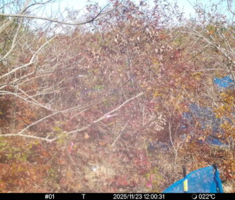 Nov 23 2025 12:00:31, #01