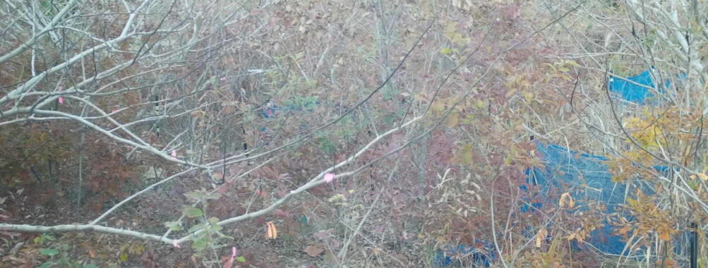 Nov 23 2025 15:00:32, #01