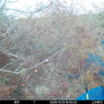 Nov 23 2025 15:00:32, #01