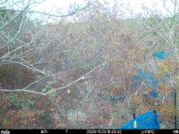 Nov 23 2025 15:00:32, #01