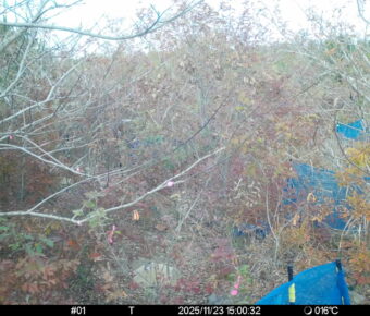 Nov 23 2025 15:00:32, #01