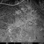 Nov 23 2025 18:00:31, #01