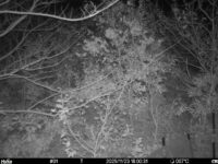 Nov 23 2025 18:00:31, #01