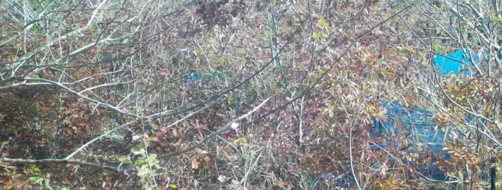 Nov 24 2025  9:00:32, #01