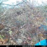 Nov 24 2025  9:00:32, #01