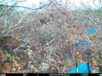 Nov 24 2025  9:00:32, #01