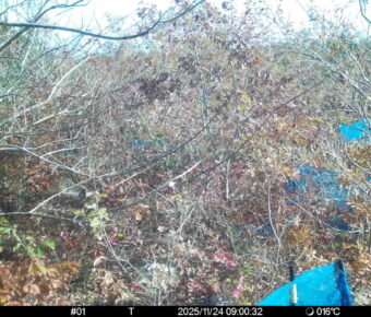 Nov 24 2025  9:00:32, #01