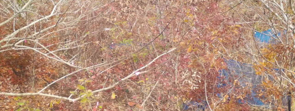 Nov 24 2025 12:00:31, #01