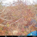 Nov 24 2025 12:00:31, #01