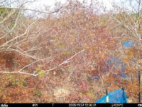 Nov 24 2025 12:00:31, #01