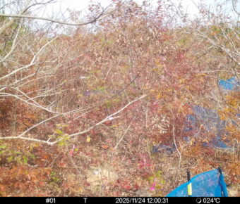 Nov 24 2025 12:00:31, #01