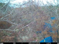 Nov 24 2025 15:00:32, #01