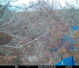 Nov 24 2025 15:00:32, #01