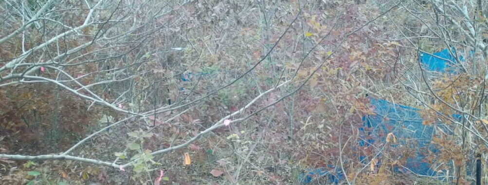 Nov 25 2025  9:00:32, #01