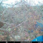 Nov 25 2025  9:00:32, #01