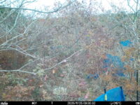 Nov 25 2025  9:00:32, #01